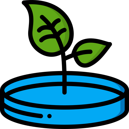 Plant in PetriDish